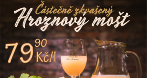 Částečně zkvašený hroznový mošt na TERNU Strakonice